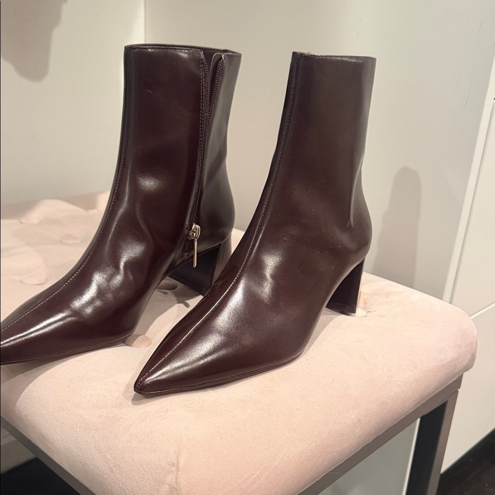 Steve Madden Pointed Toe Block Heel Ankle Boots in Dark Burgundy